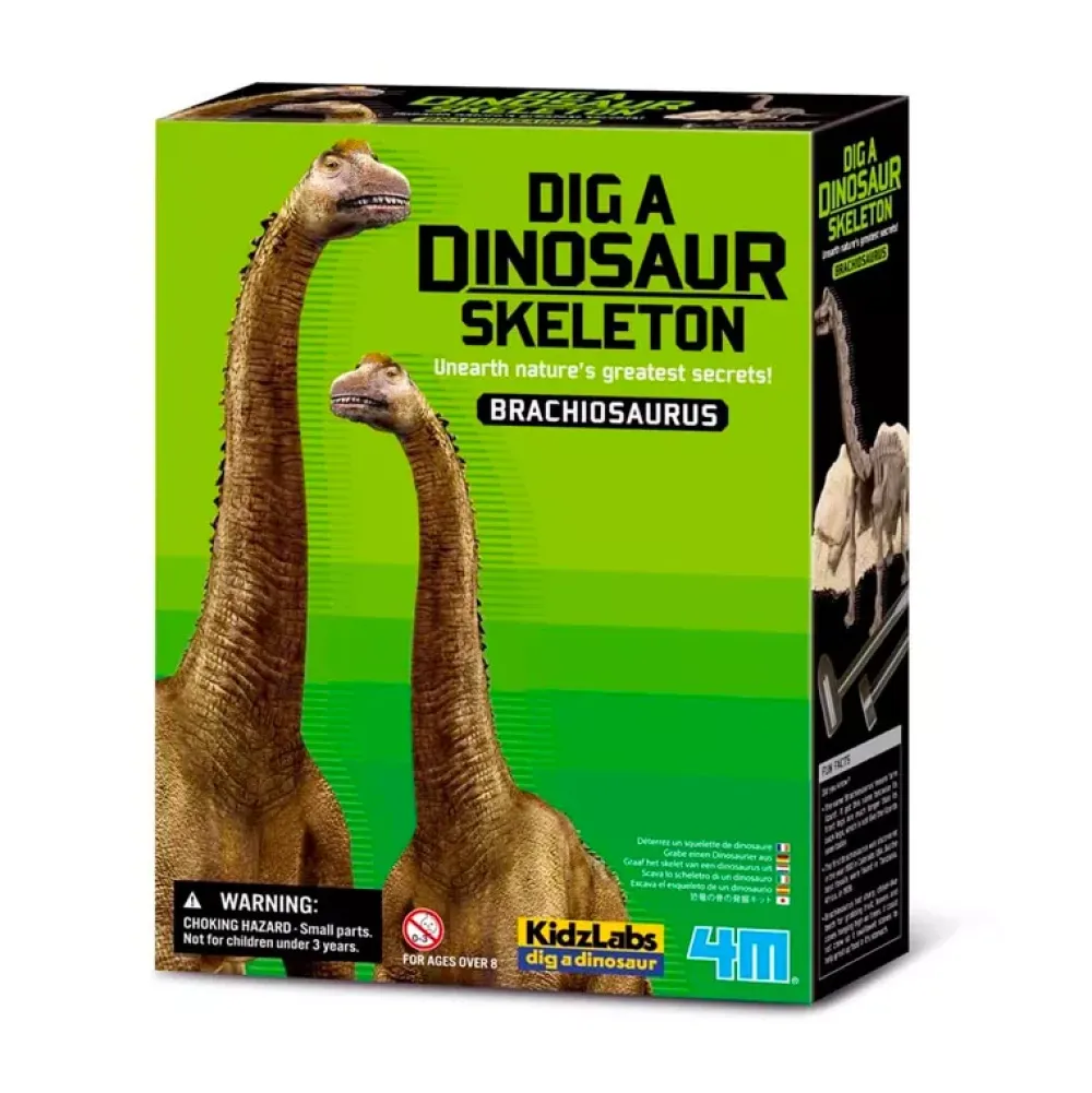 4M Dino Kit Brachiosaurus Discount