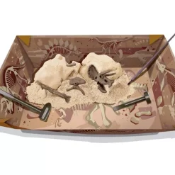 4M Dino Kit Triceratops Cheap
