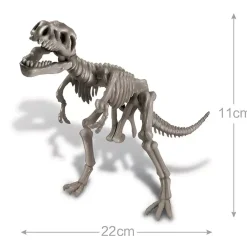4M Dino Kit Tyrannosaurus Rex Sale