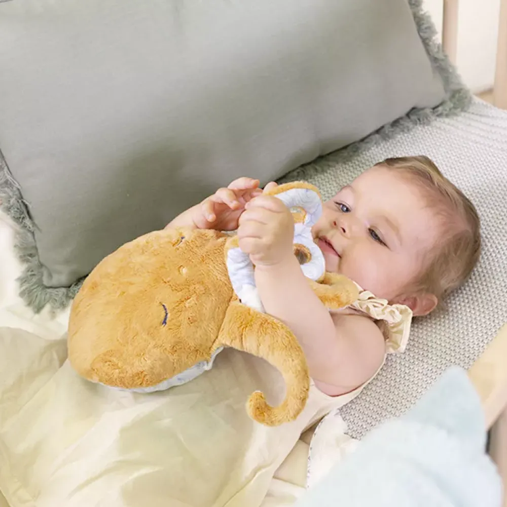 Kaloo Petit Calme: Cojin Termico Pulpo Best Sale