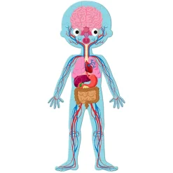 Janod Puzzle Educativo Cuerpo Humano Fashion