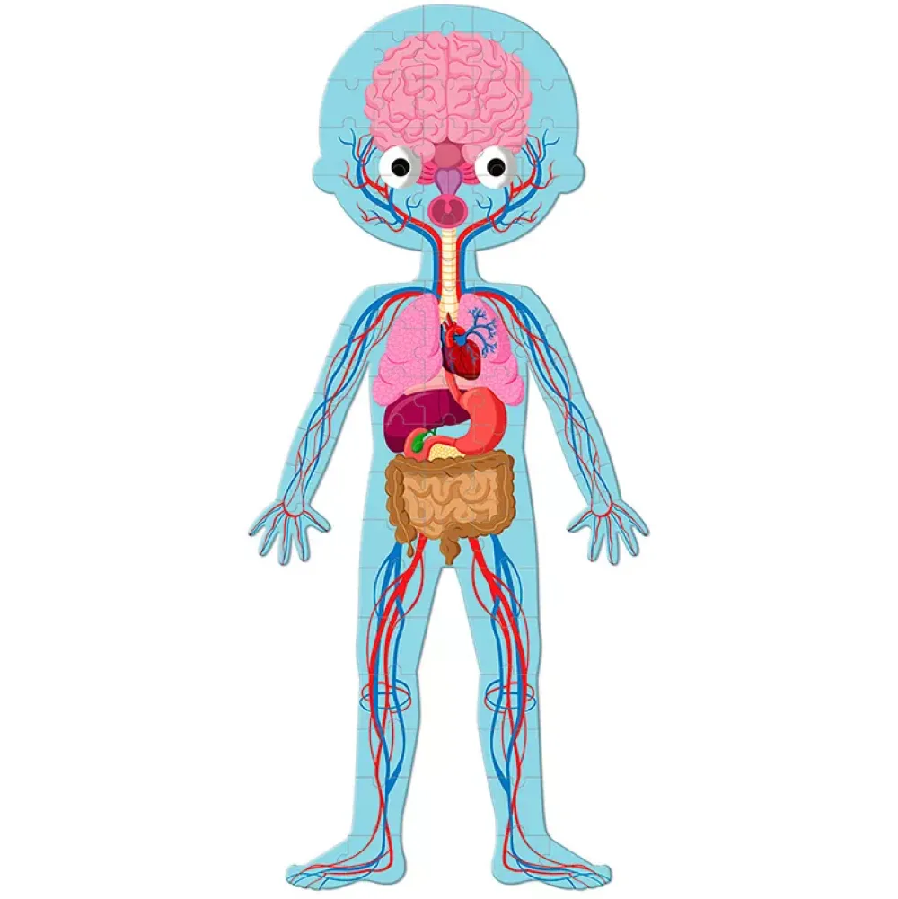 Janod Puzzle Educativo Cuerpo Humano Fashion