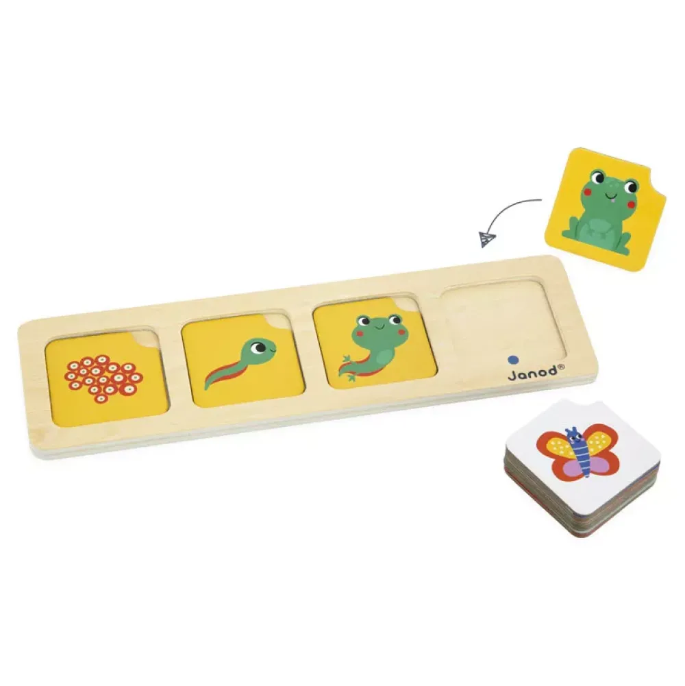 Janod Tarjetas De Secuencias: El Jardin Store