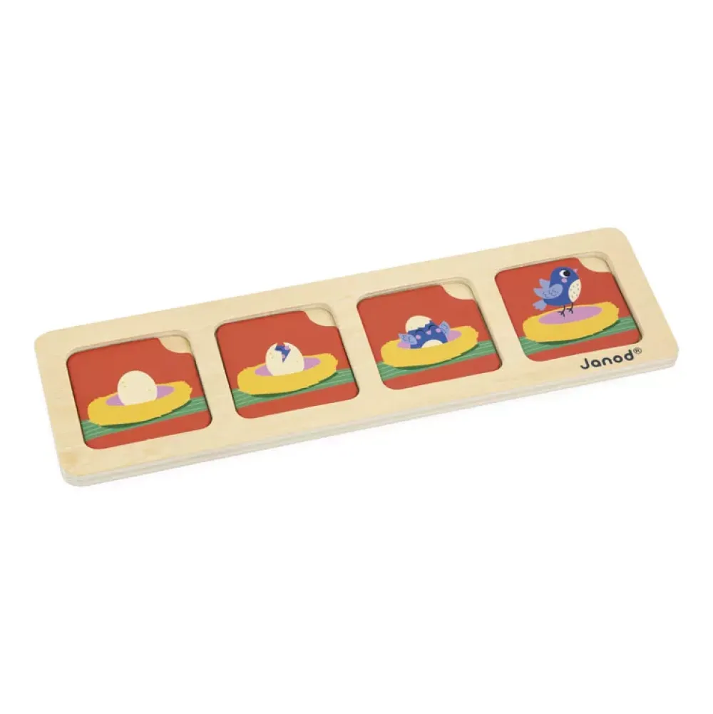 Janod Tarjetas De Secuencias: El Jardin Store