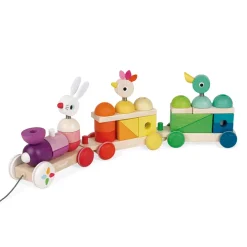 Janod Tren Gigante Multicolor Zigolos Cheap