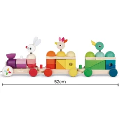 Janod Tren Gigante Multicolor Zigolos Cheap