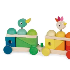 Janod Tren Gigante Multicolor Zigolos Cheap