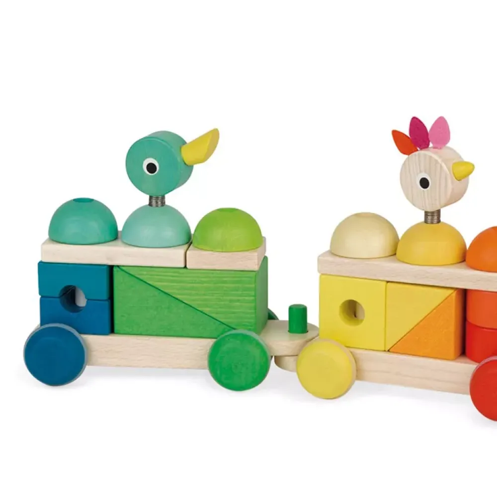 Janod Tren Gigante Multicolor Zigolos Cheap