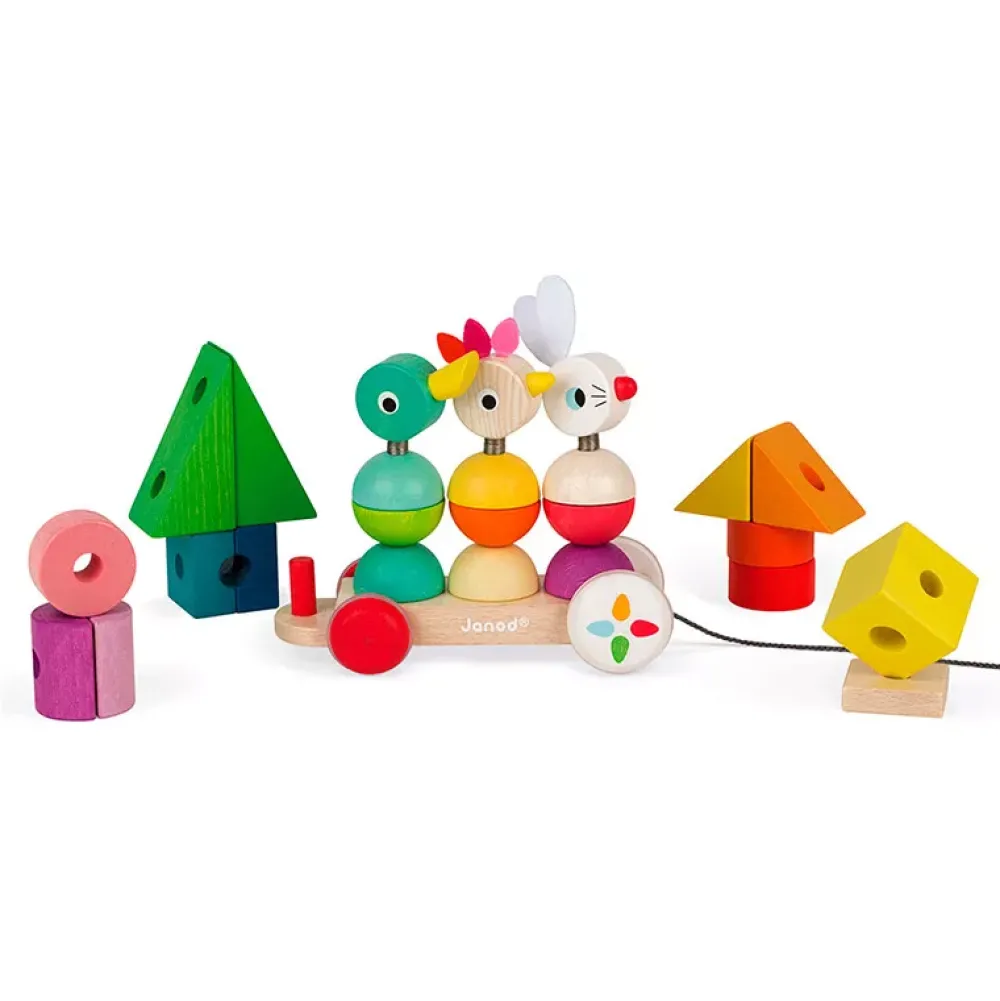 Janod Tren Gigante Multicolor Zigolos Cheap